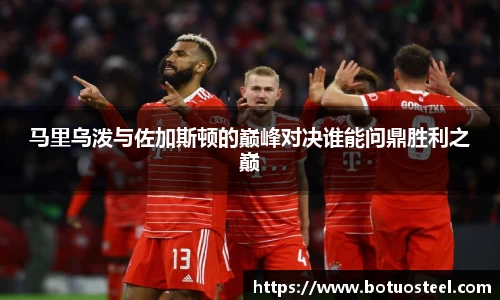 马里乌泼与佐加斯顿的巅峰对决谁能问鼎胜利之巅